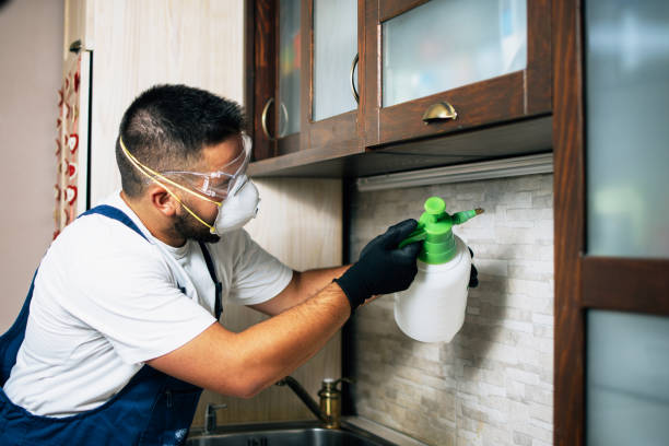 Best Termite Control Services  in Parkland, FL