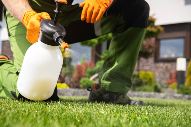 Best Pest Removal Services  in Parkland, FL