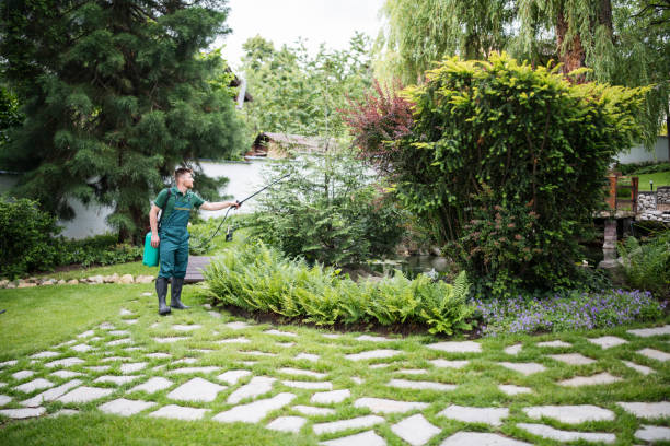 Best Wasp Removal Services  in Parkland, FL