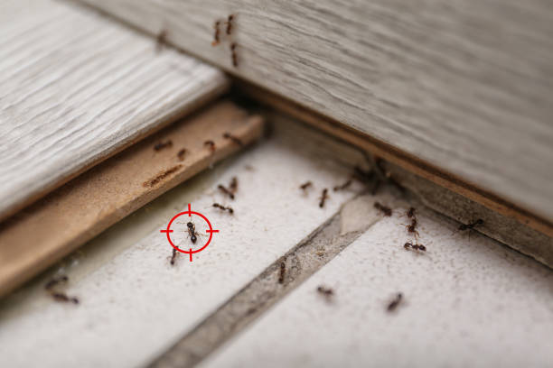 Best Commercial Pest Control Services  in Parkland, FL