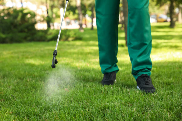 Wasp Removal Services in Parkland, FL