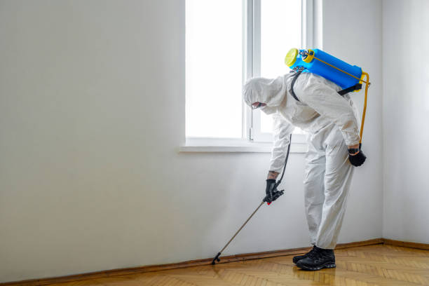 Best Best Pest Control Companies  in Parkland, FL