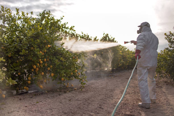 Best Affordable Pest Control Services  in Parkland, FL