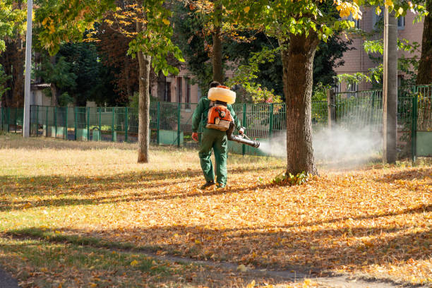 Best Pest Inspection Near Me  in Parkland, FL
