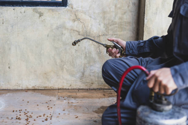 Best Exterminator Services  in Parkland, FL